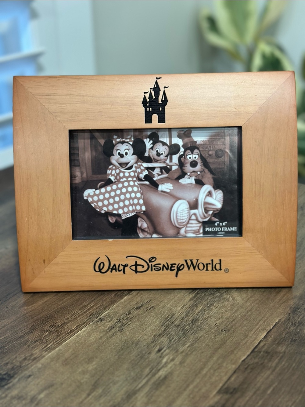 Walt Disney World Disney Parks Wooden 4x6 Photo Frame Castle Mickey Minnie